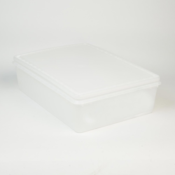 small pizza dough tray proofer