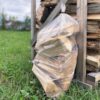 regular logs wood